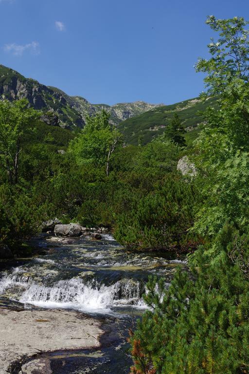Studio Livia Vysoke Tatry Bagian luar foto
